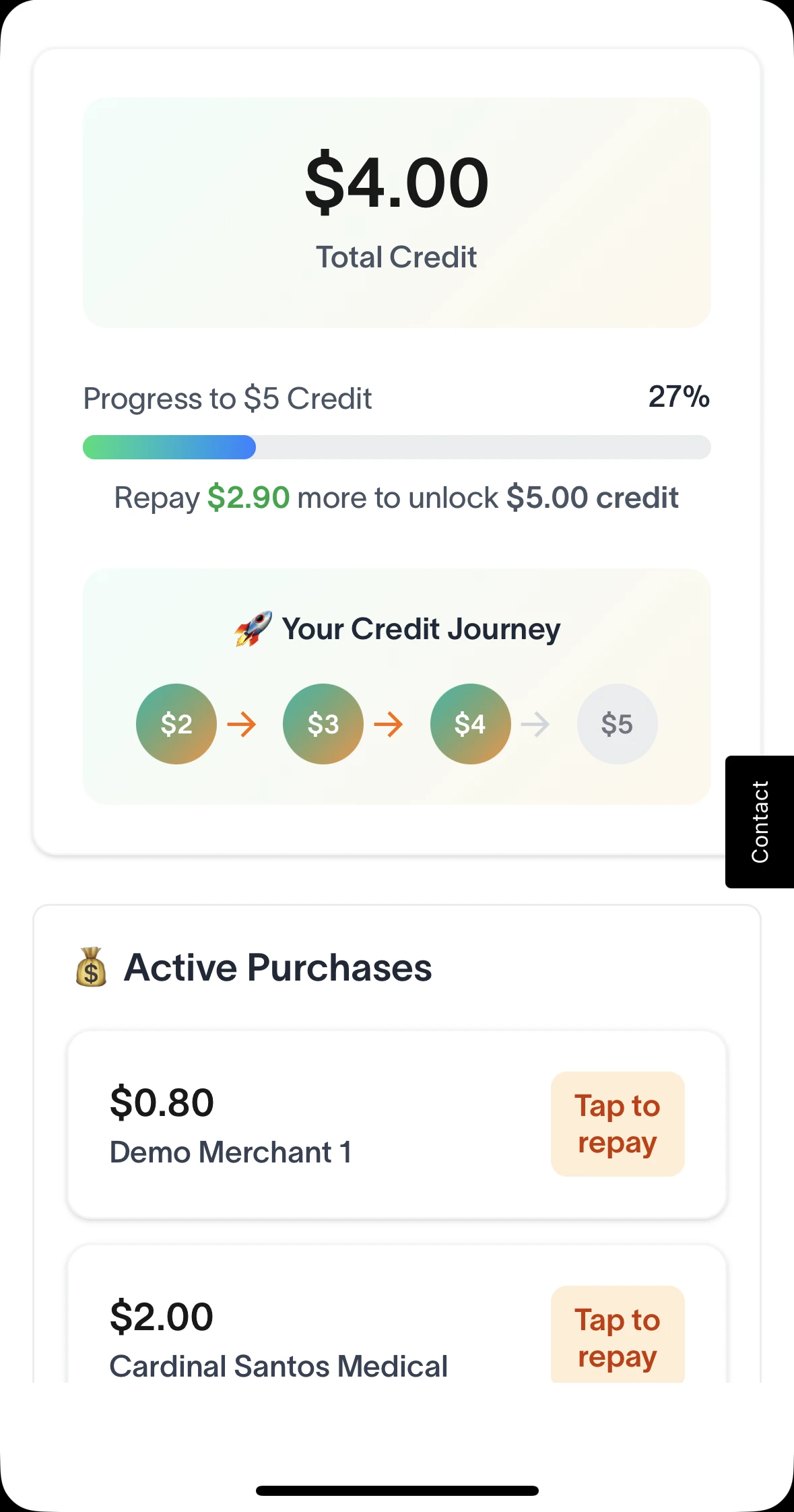 NanoCredit app dashboard showing the current credit limit and repayments